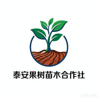 企业logo