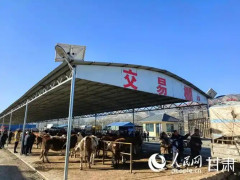 2026夏季专题博览会